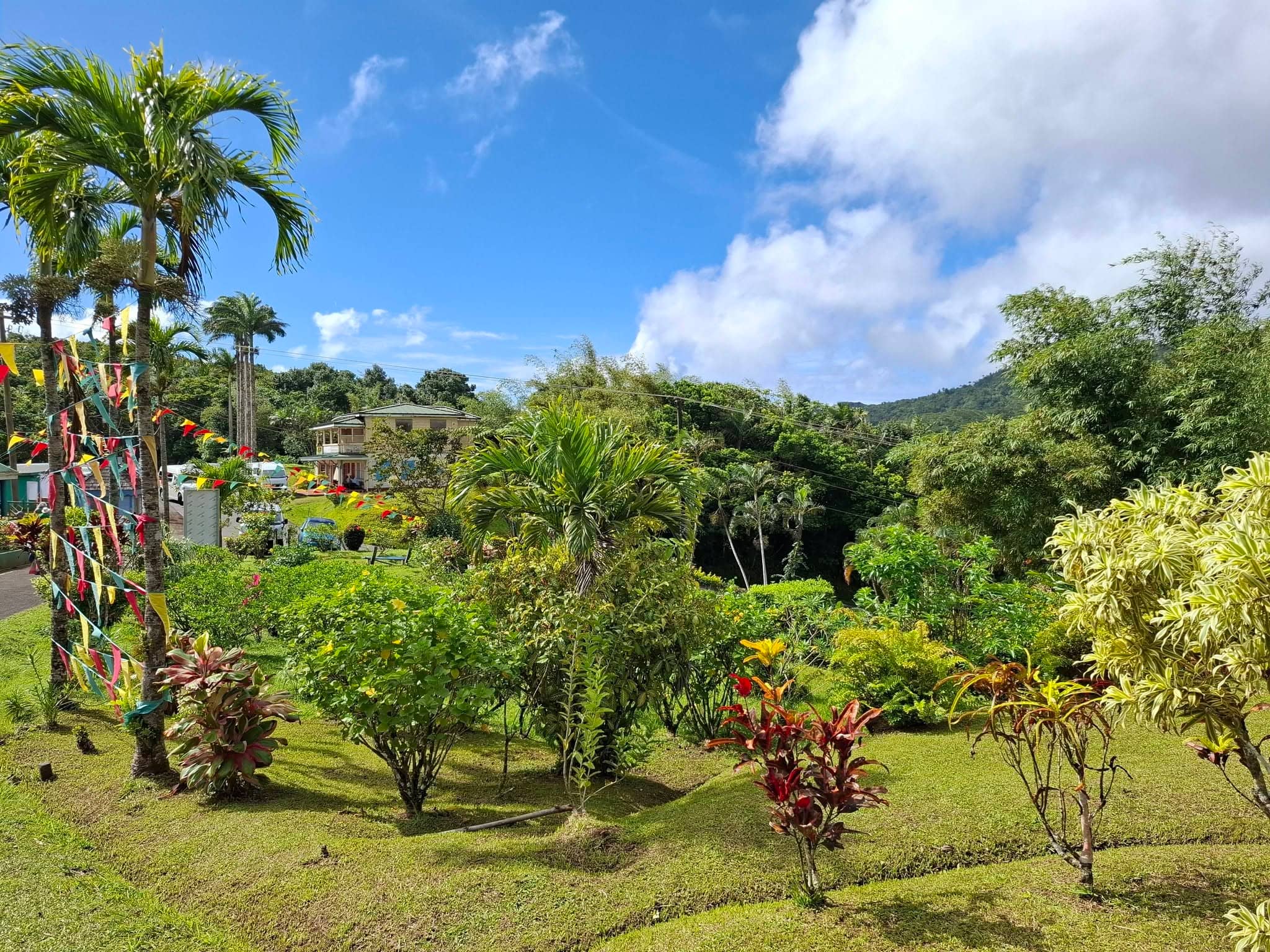 A tropical garden with palm trees and colourful shrubs under a blue sky, with green hills behind.