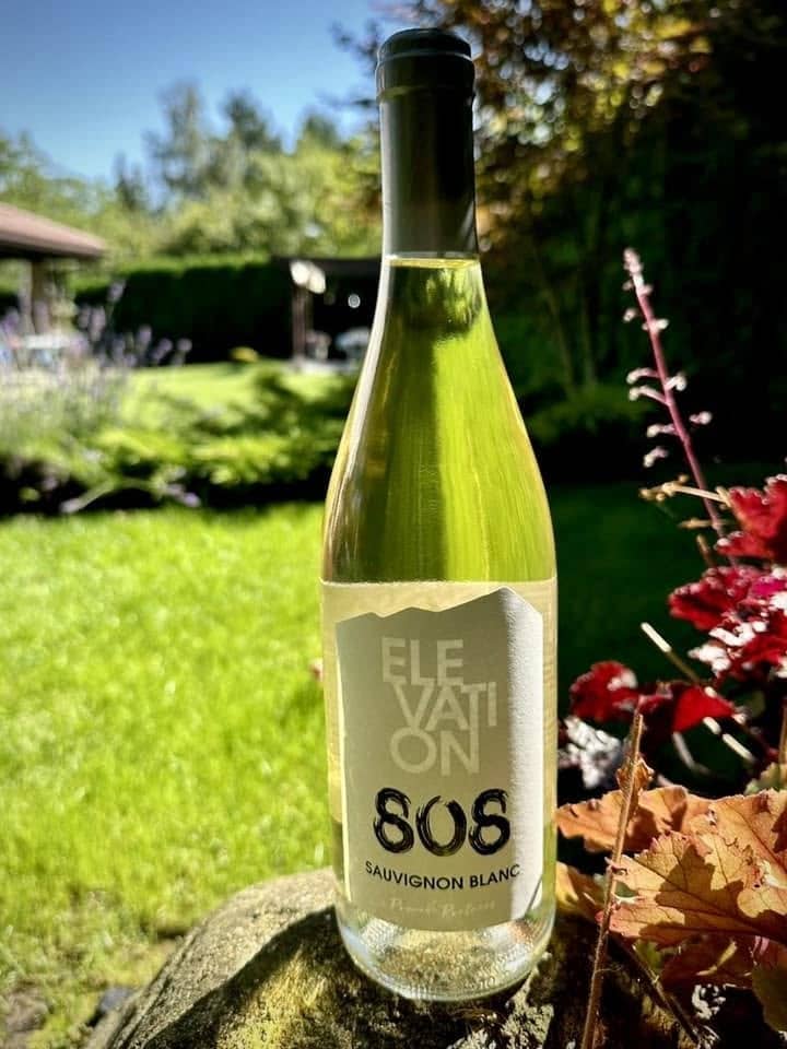 A bottle of Elevation 808 Sauvignon Blanc on a stone in a sunlit garden.