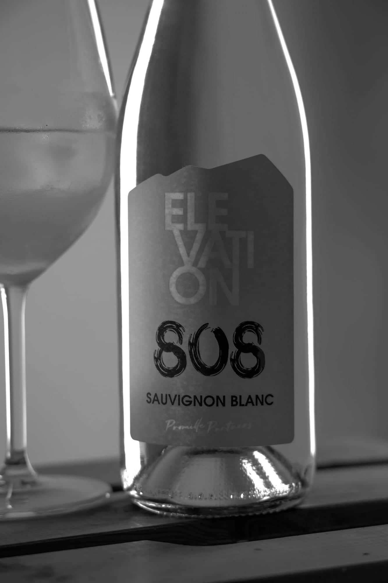Black-and-white close-up of the Elevation 808 Sauvignon Blanc label next to a glass.